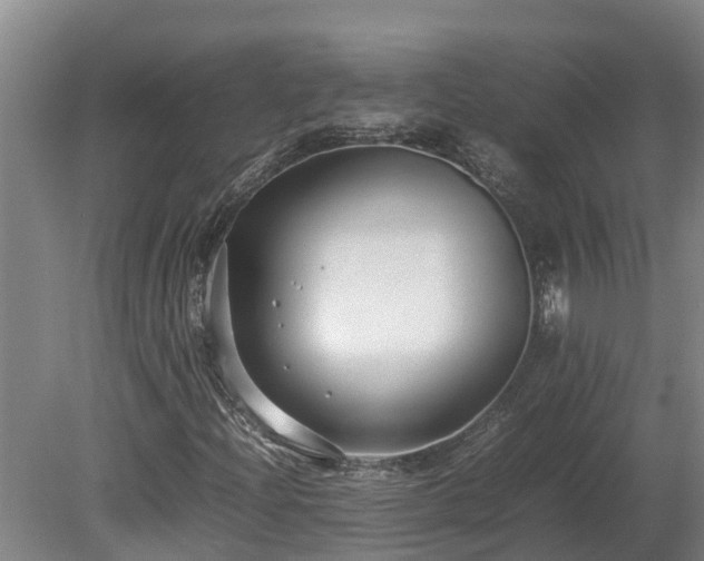 X0000080121204200612151704