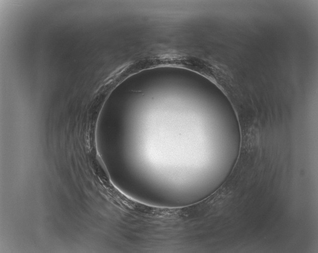 X0000080121205200612151704
