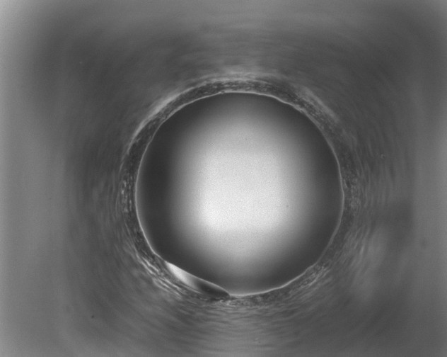 X0000080121208200612151704