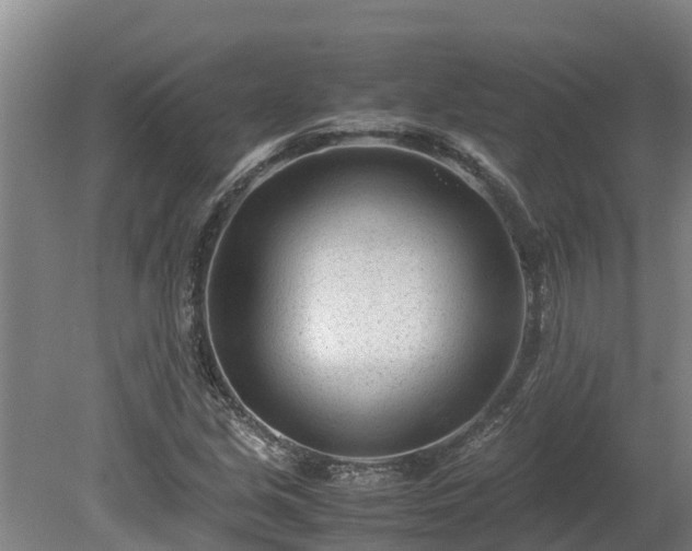 X0000080121213200612151704