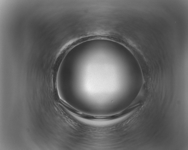 X0000080121214200612151704