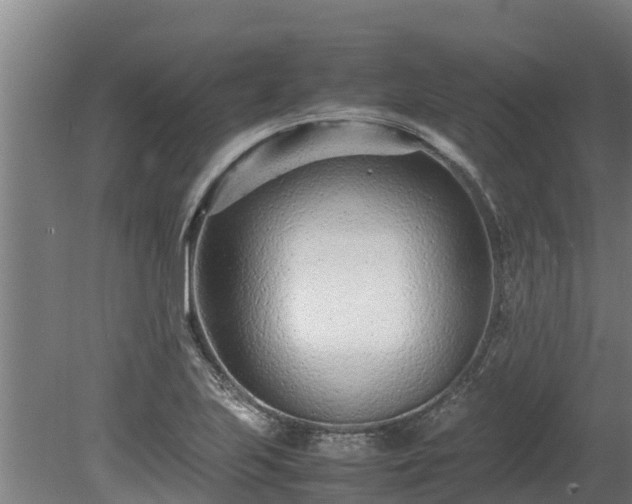 X0000080121223200612151704