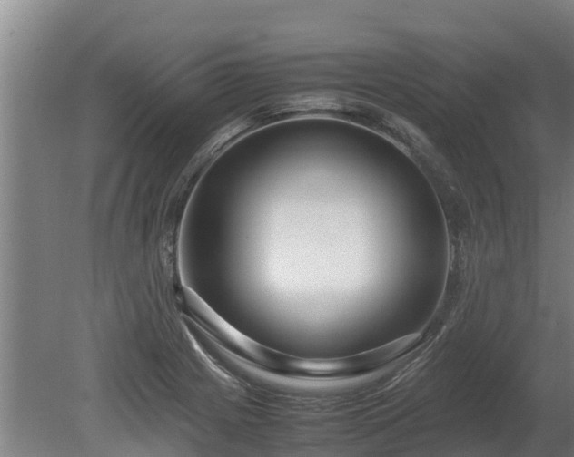X0000080121225200612151704