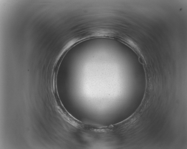 X0000080121227200612151704