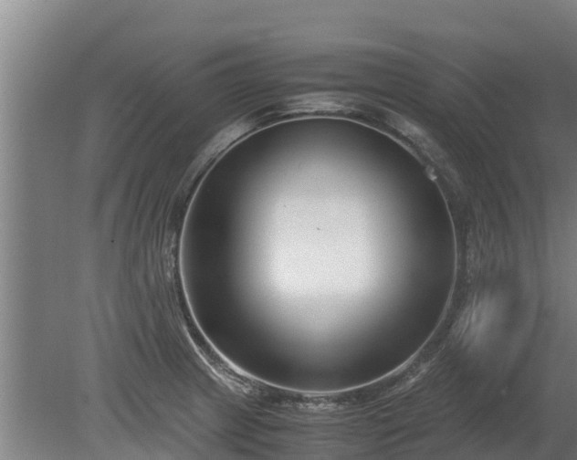 X0000080121233200612151704