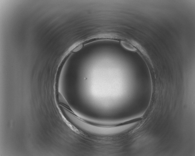X0000080121237200612151704