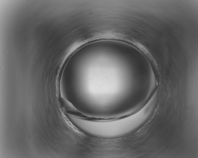X0000080121238200612151704
