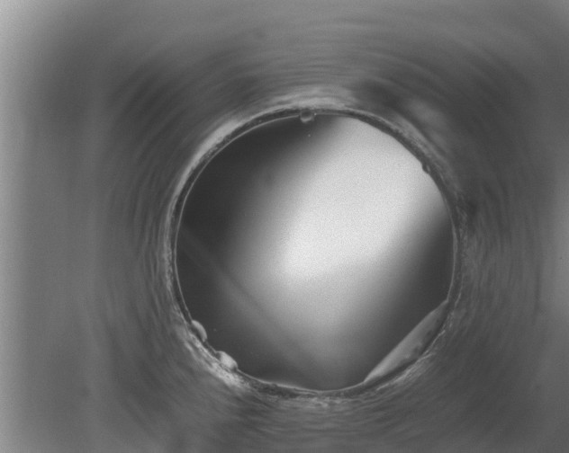 X0000080121240200612151704