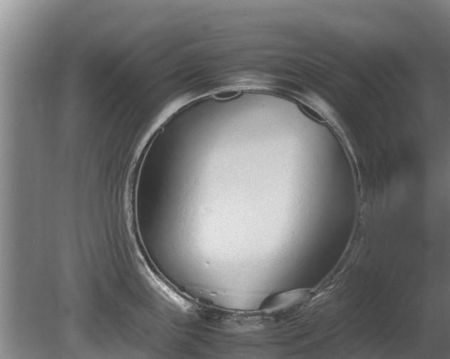 X0000080121243200612151704