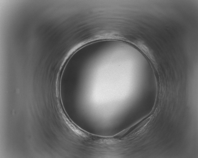X0000080121246200612151704