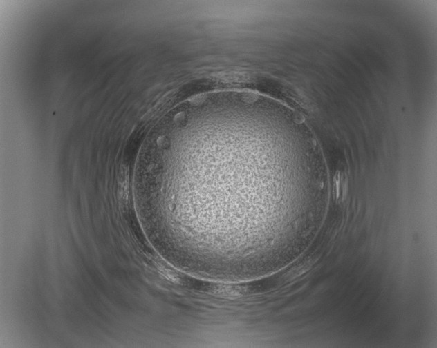 X0000080121251200612151703