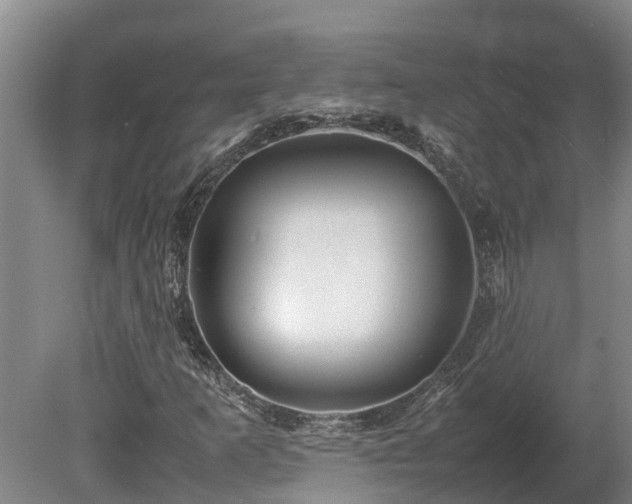 X0000080121253200612151703