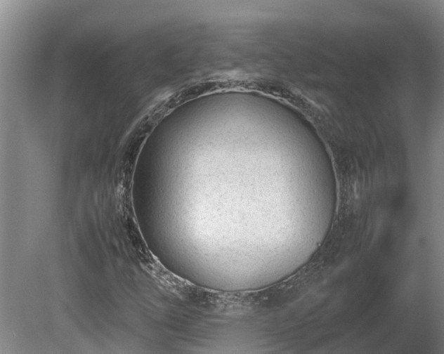 X0000080121254200612151703