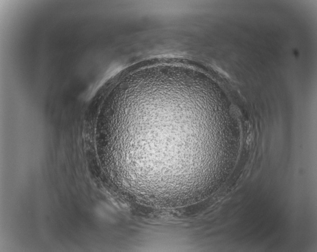 X0000080121255200612151703