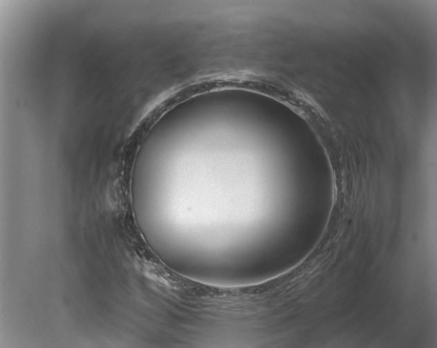 X0000080121256200612151703