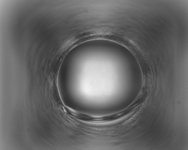 X0000080121257200612151703