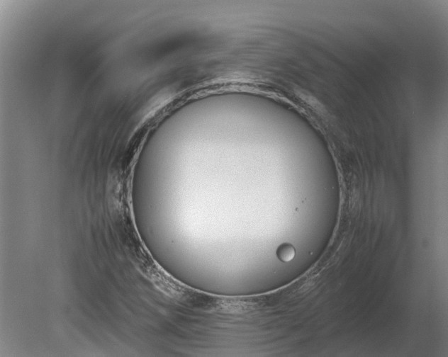 X0000080121258200612151703