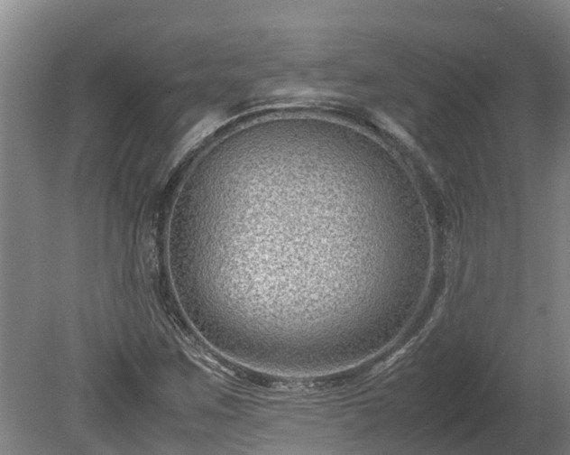 X0000080121259200612151703