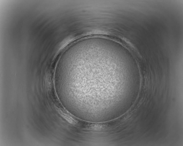 X0000080121266200612151703