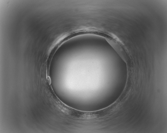 X0000080121269200612151703