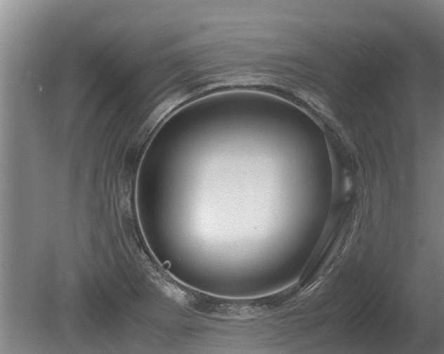 X0000080121273200612151703