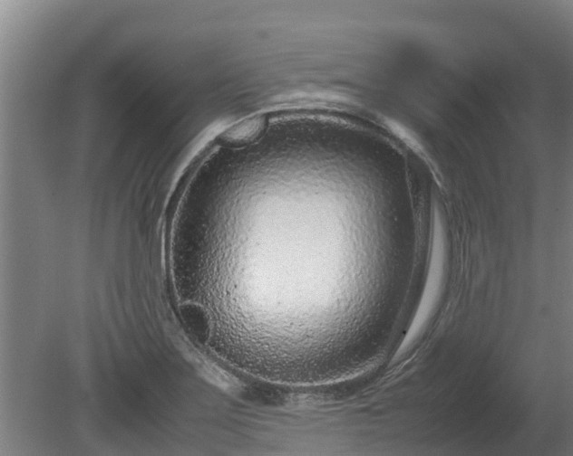 X0000080121275200612151703