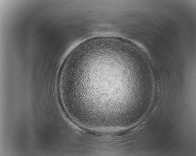 X0000080121279200612151703