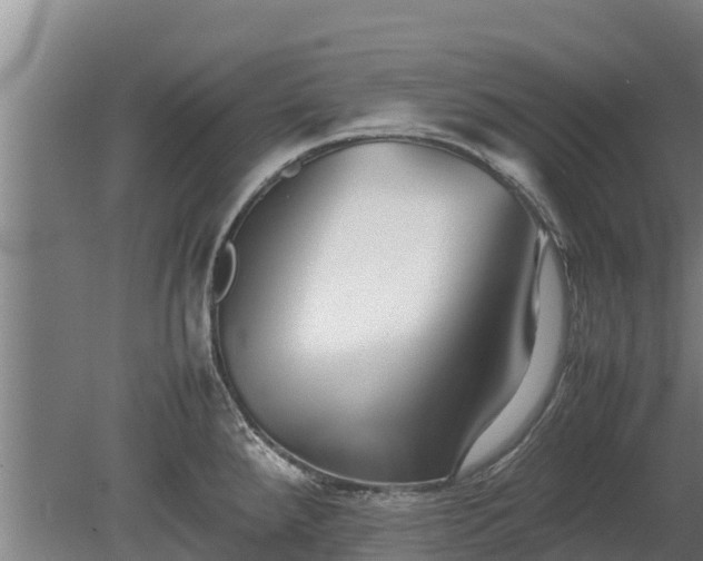 X0000080121288200612151703