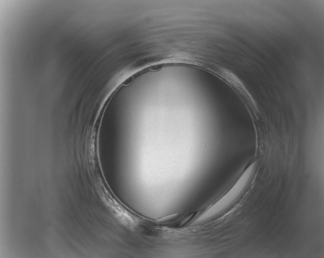 X0000080121292200612151703