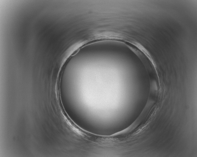 X0000080121293200612151703