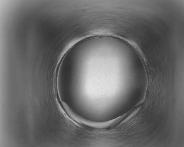 X0000080121295200612151703