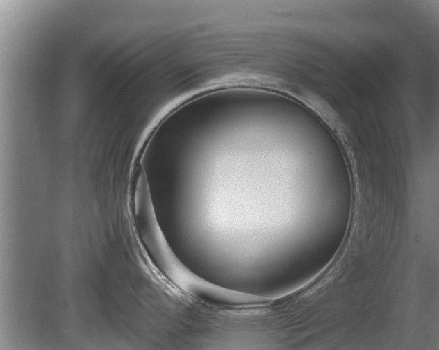 X0000080121296200612151703