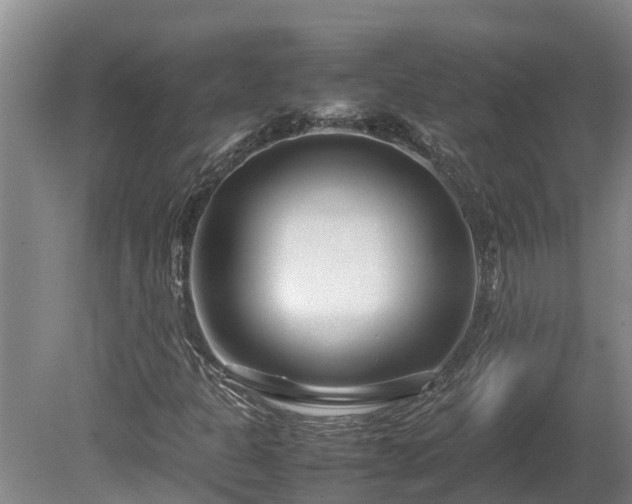 X0000080121301200612151702