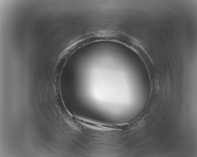 X0000080121304200612151702