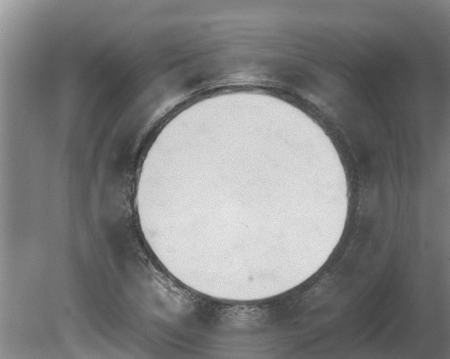 X0000080121314200612151702