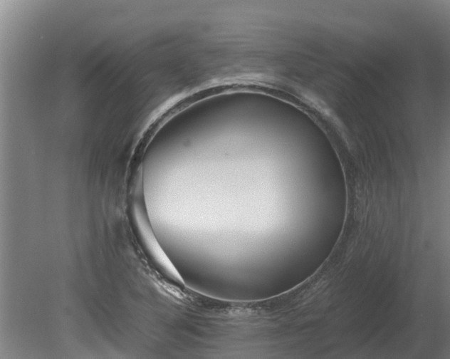 X0000080121316200612151702