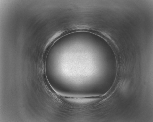 X0000080121317200612151702
