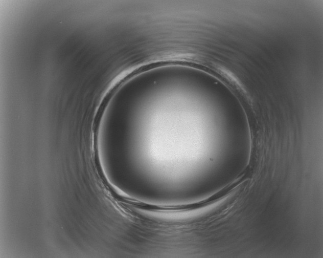 X0000080121324200612151702