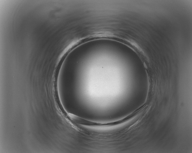 X0000080121325200612151702