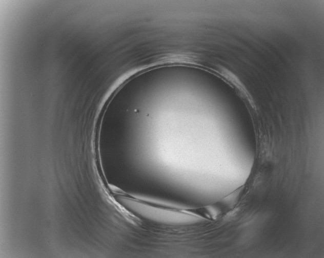 X0000080121339200612151703