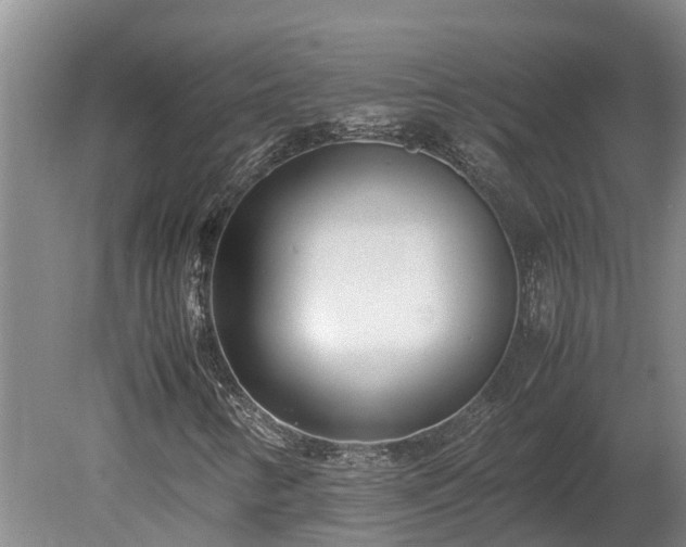 X0000080121346200612151702