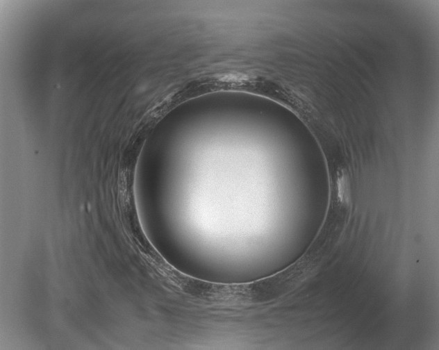 X0000080121347200612151702