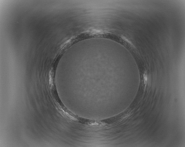 X0000080121348200612151702