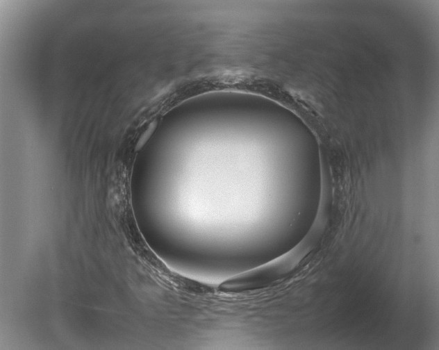 X0000080121349200612151702