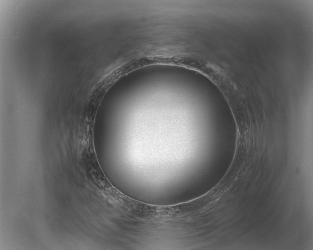 X0000080121350200612151702