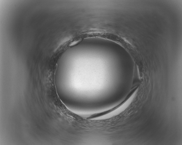 X0000080121351200612151702