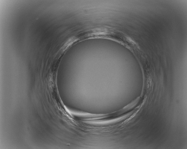 X0000080121353200612151702
