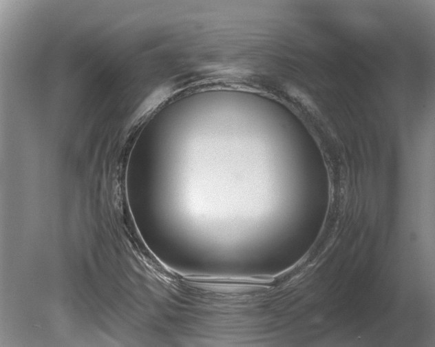 X0000080121354200612151702