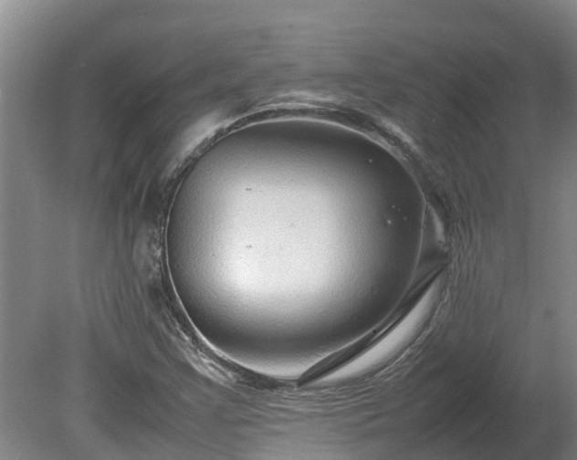X0000080121355200612151702