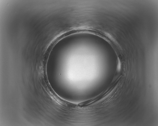 X0000080121356200612151702